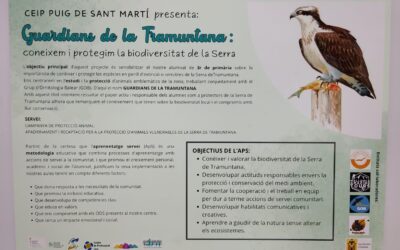 🎙️ El nostre projecte APS “Guardians de la Tramuntana”, a IB3 Ràdio