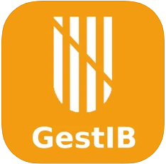 Imatge de GESTIB